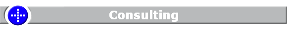 Consulting